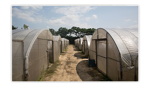 Mohan Exports
